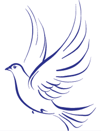 Evelyn Toland Obituary