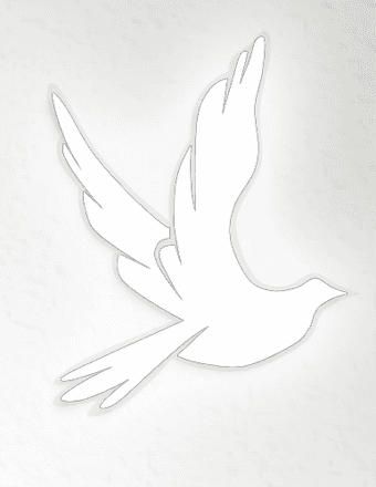 William Edward Vest Obituary