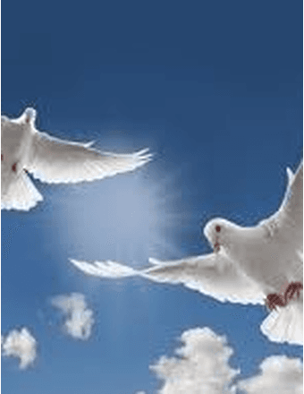 In  Loving Memory…… Obituary