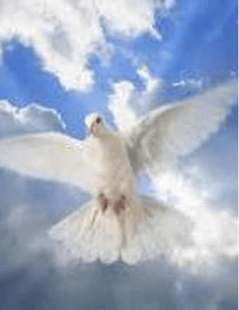 Antoinette  Koso Olwa Obituary